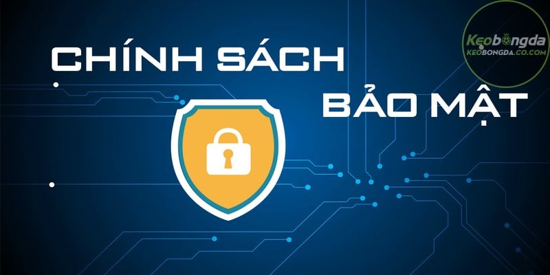Một số câu hỏi thường gặp về chính sách bảo mật galaxy.ru.com